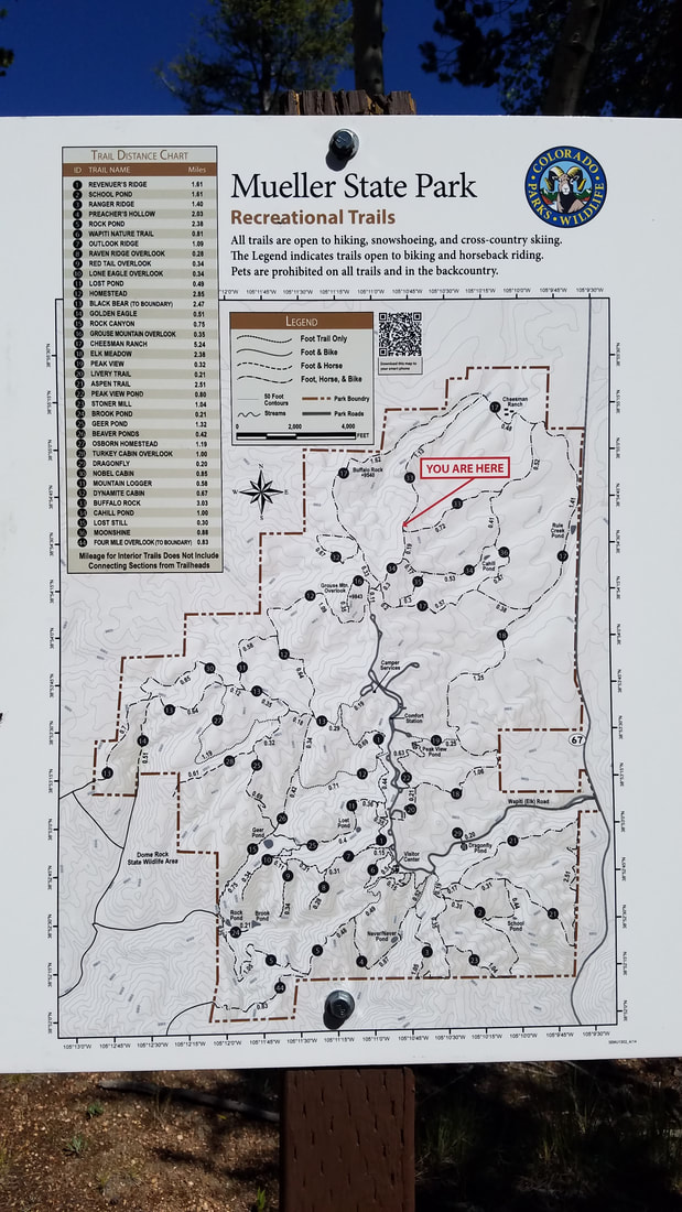 Mueller State Park Recreational Trails Map