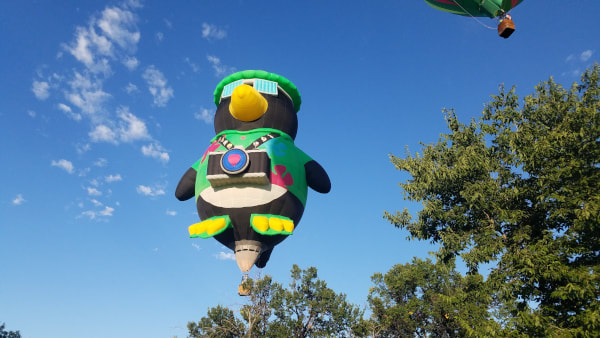 snobird hot air balloon